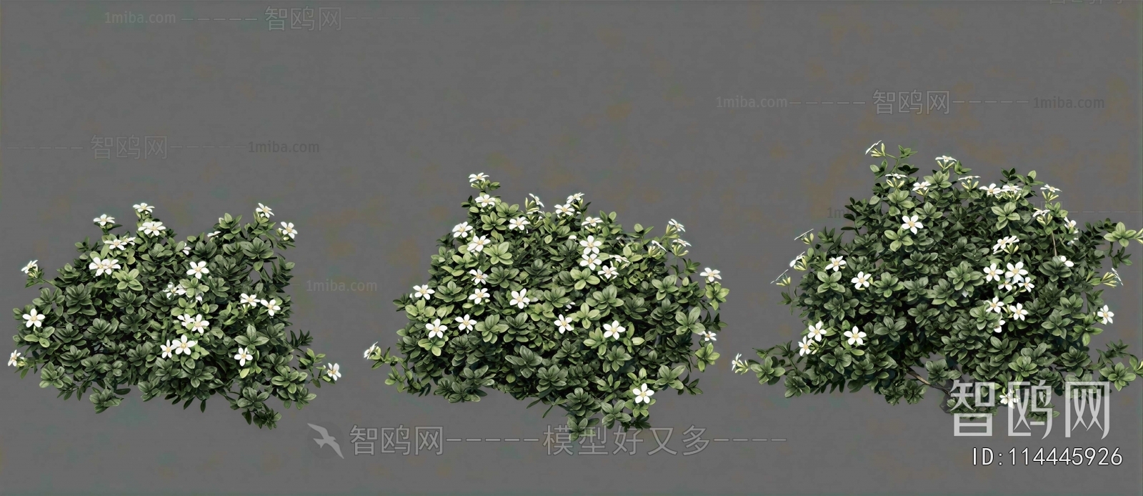 Modern Shrubbery