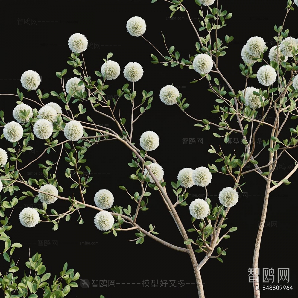 Modern Flower Arrangement