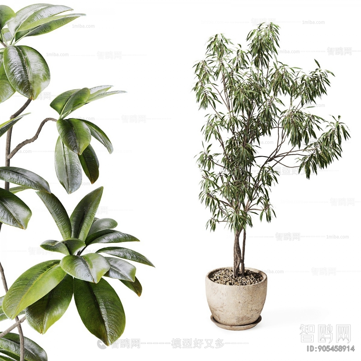 Modern Ground Green Plant Potted Plants