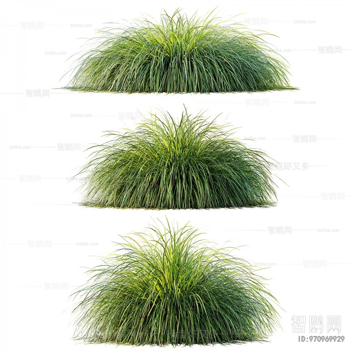 Modern Flowers And Grass