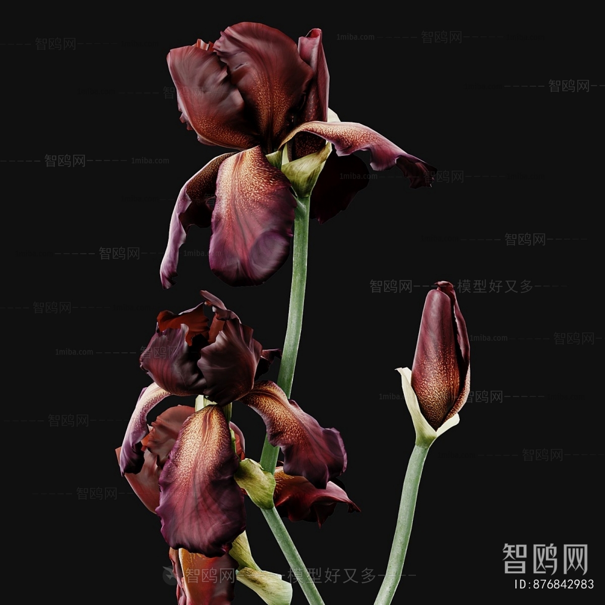 Modern Flower Arrangement