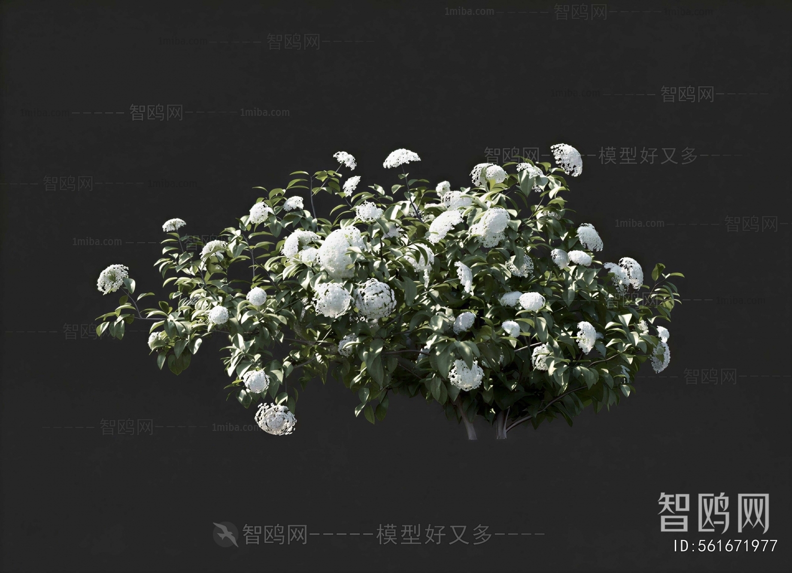 Modern Shrubbery