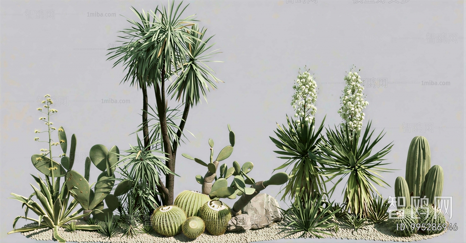 Modern Plant Landscaping