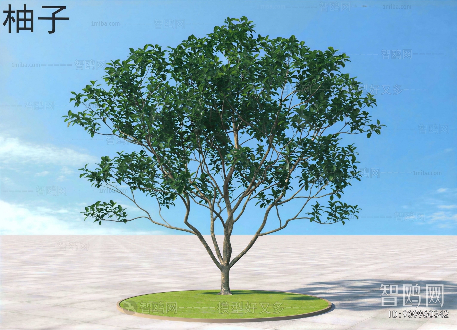 Modern Tree