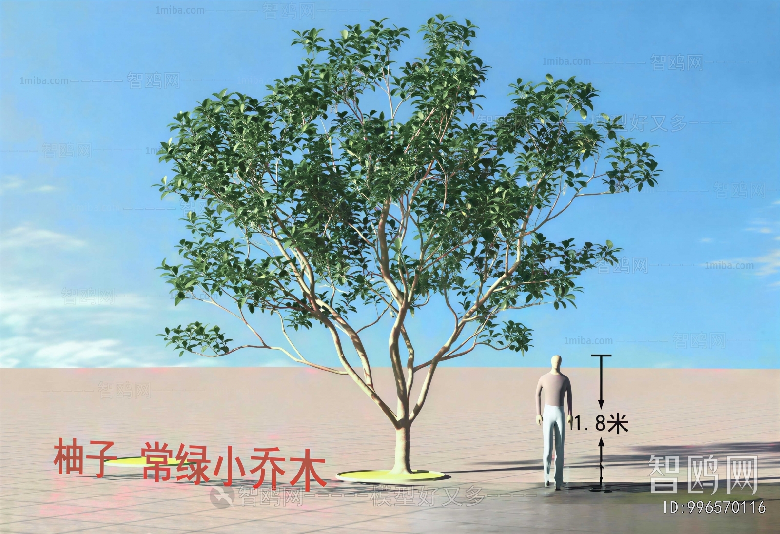 Modern Tree