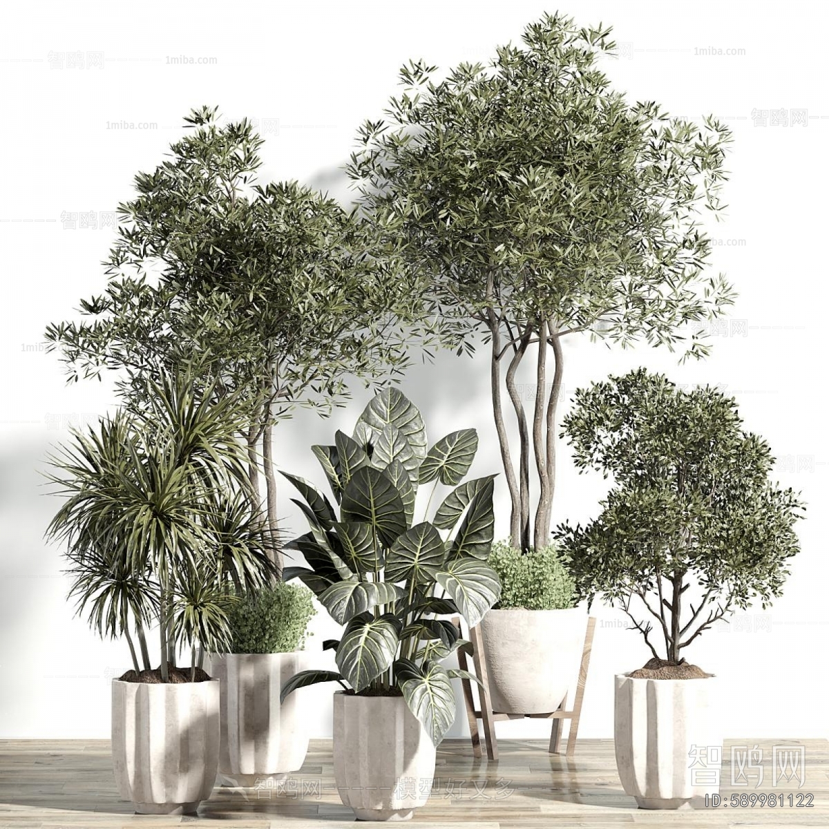 Modern Ground Green Plant Potted Plants