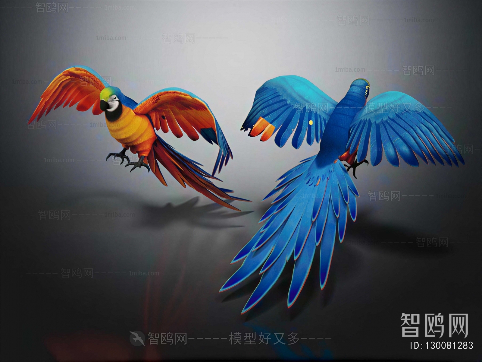 Modern Flying Animals
