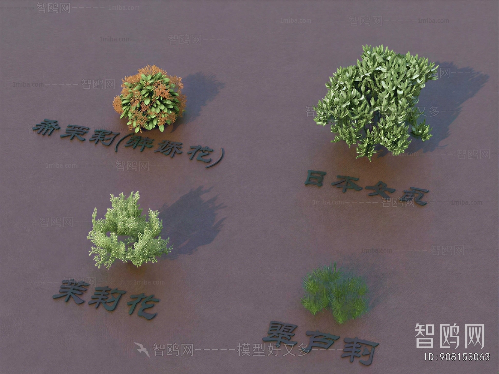 Modern Shrubbery