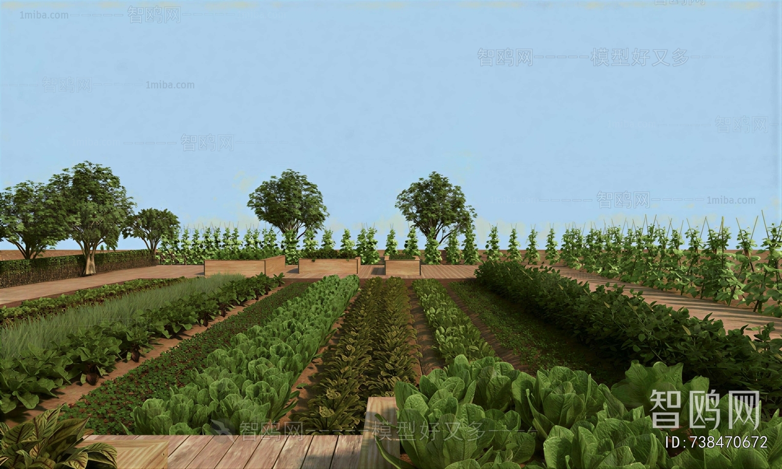 Modern Crop