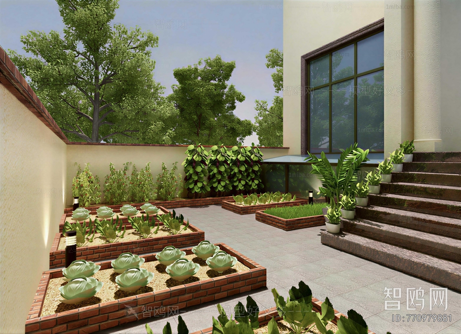 Modern Courtyard/landscape