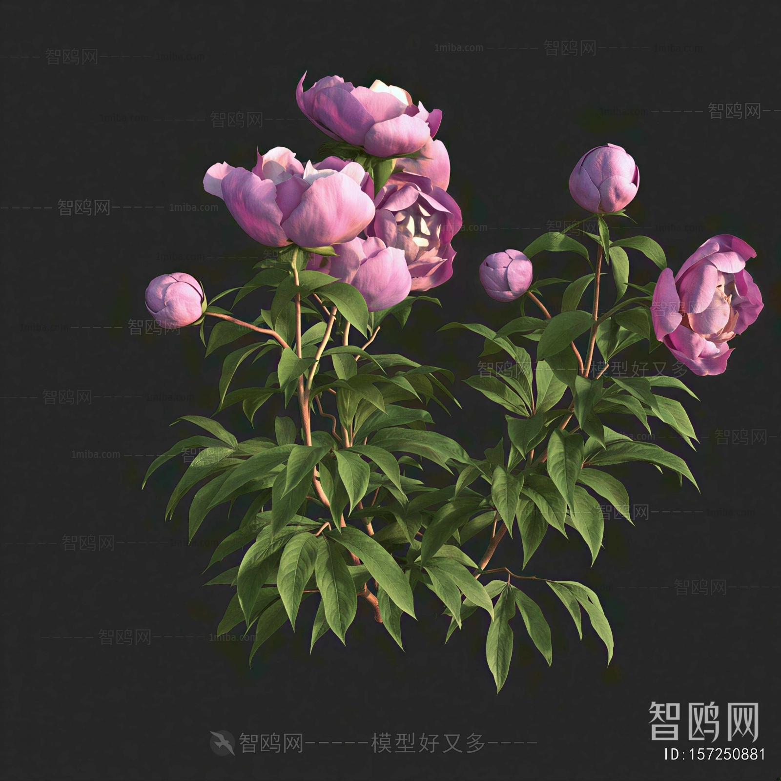 Modern Flowers And Grass