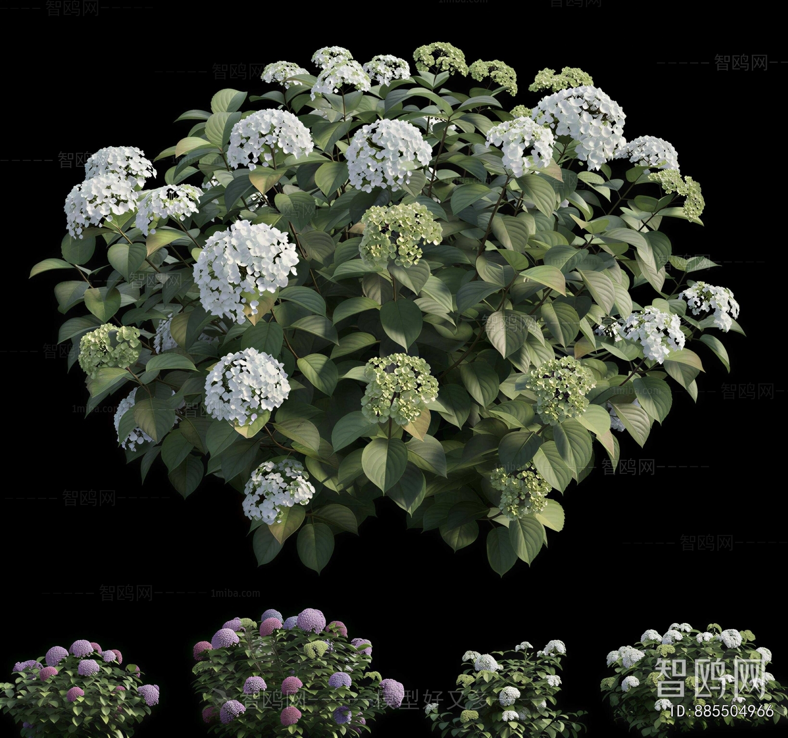 Modern Shrubbery