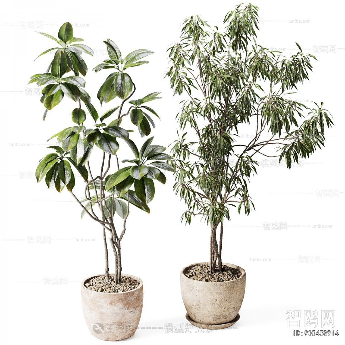 Modern Ground Green Plant Potted Plants