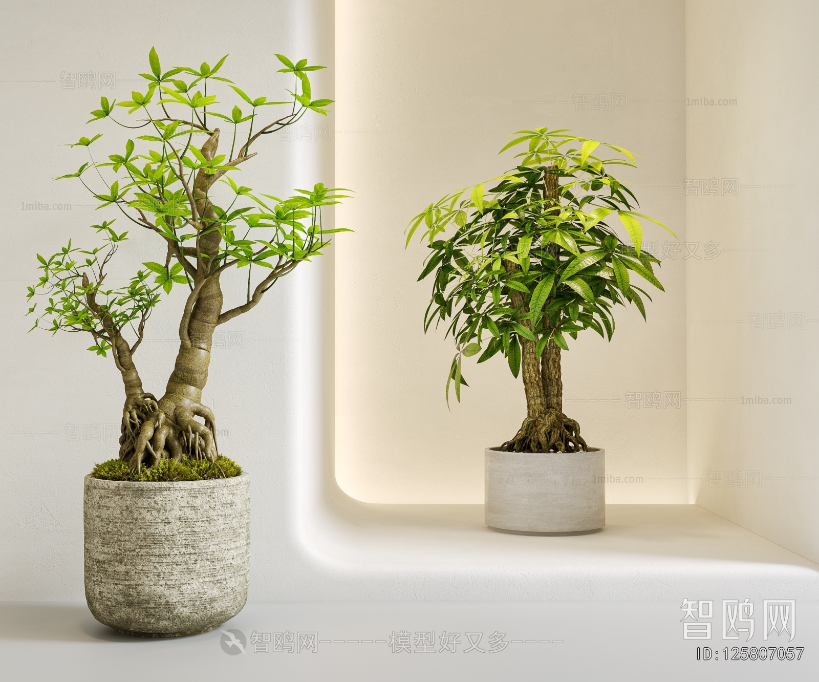 Modern Ground Green Plant Potted Plants