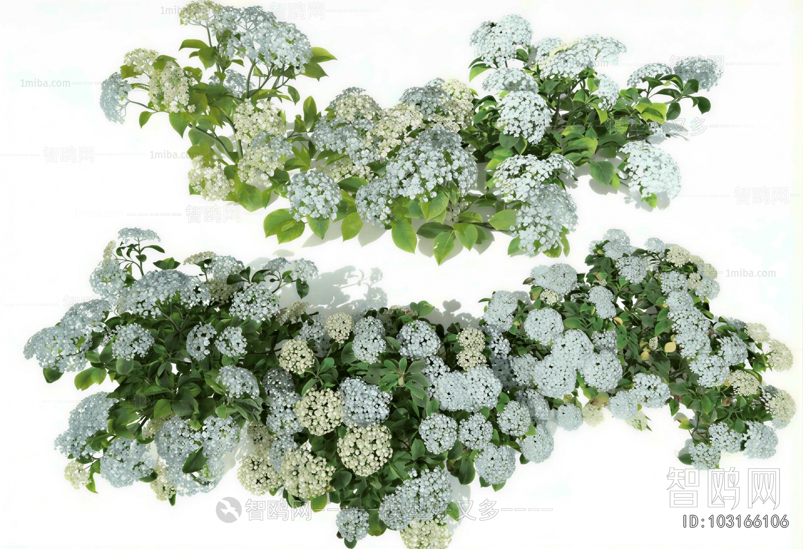 Modern Shrubbery