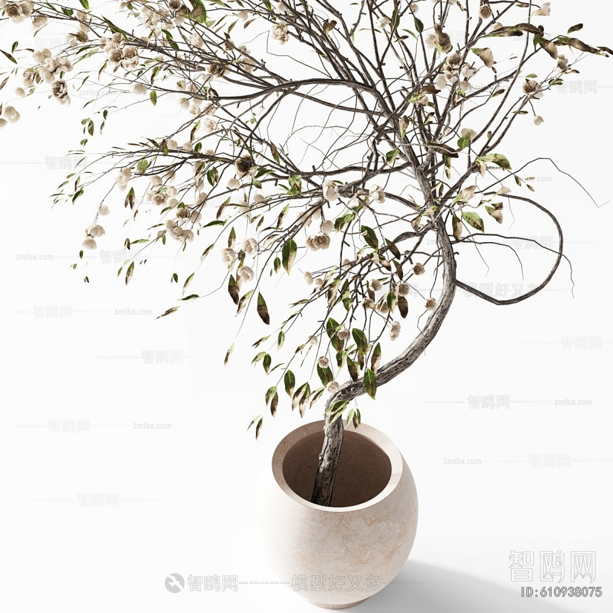Modern Ground Green Plant Potted Plants