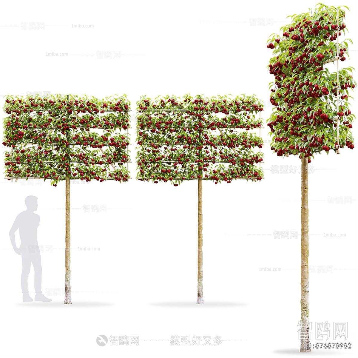 Modern Tree