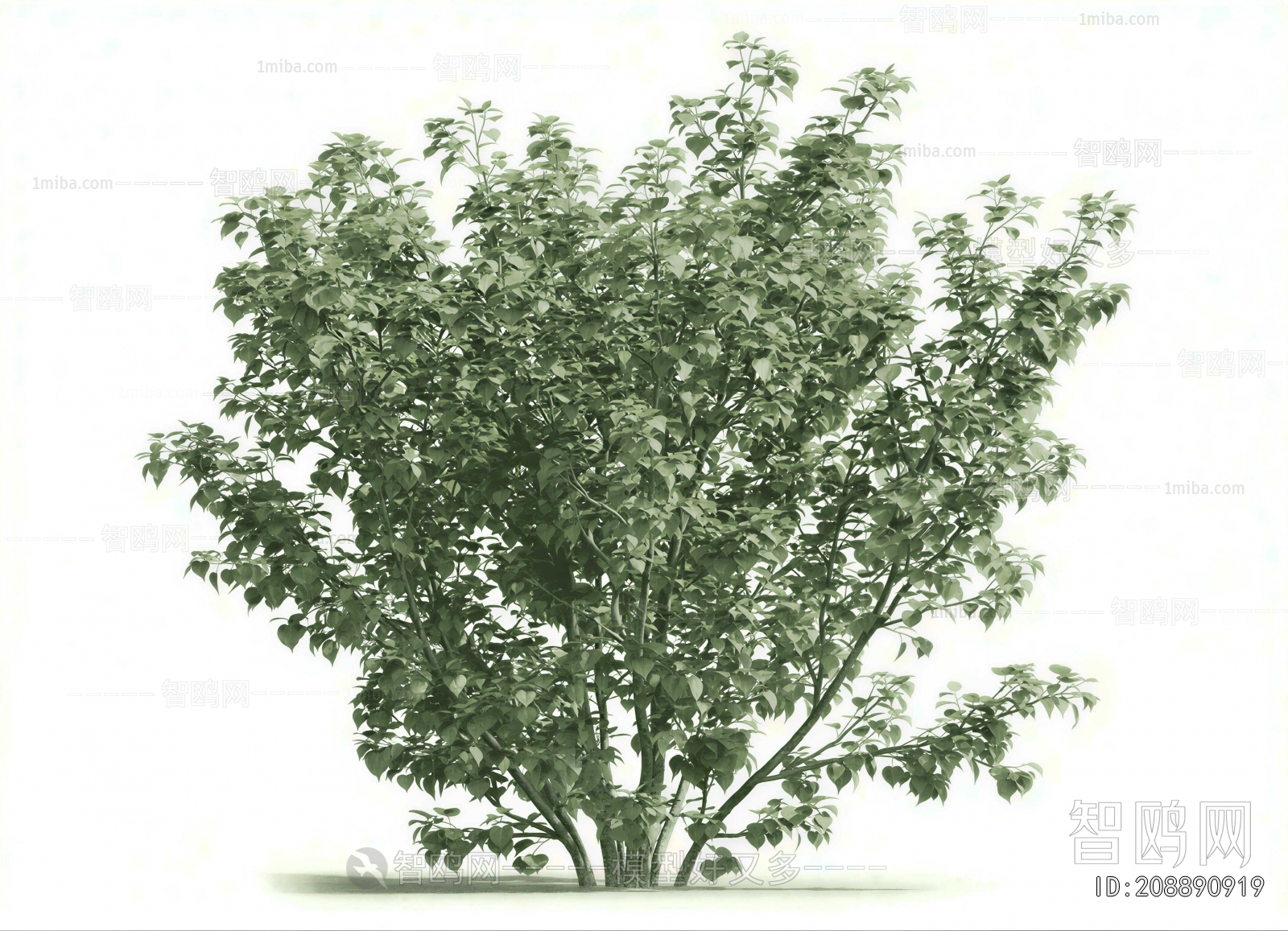 Modern Shrubbery