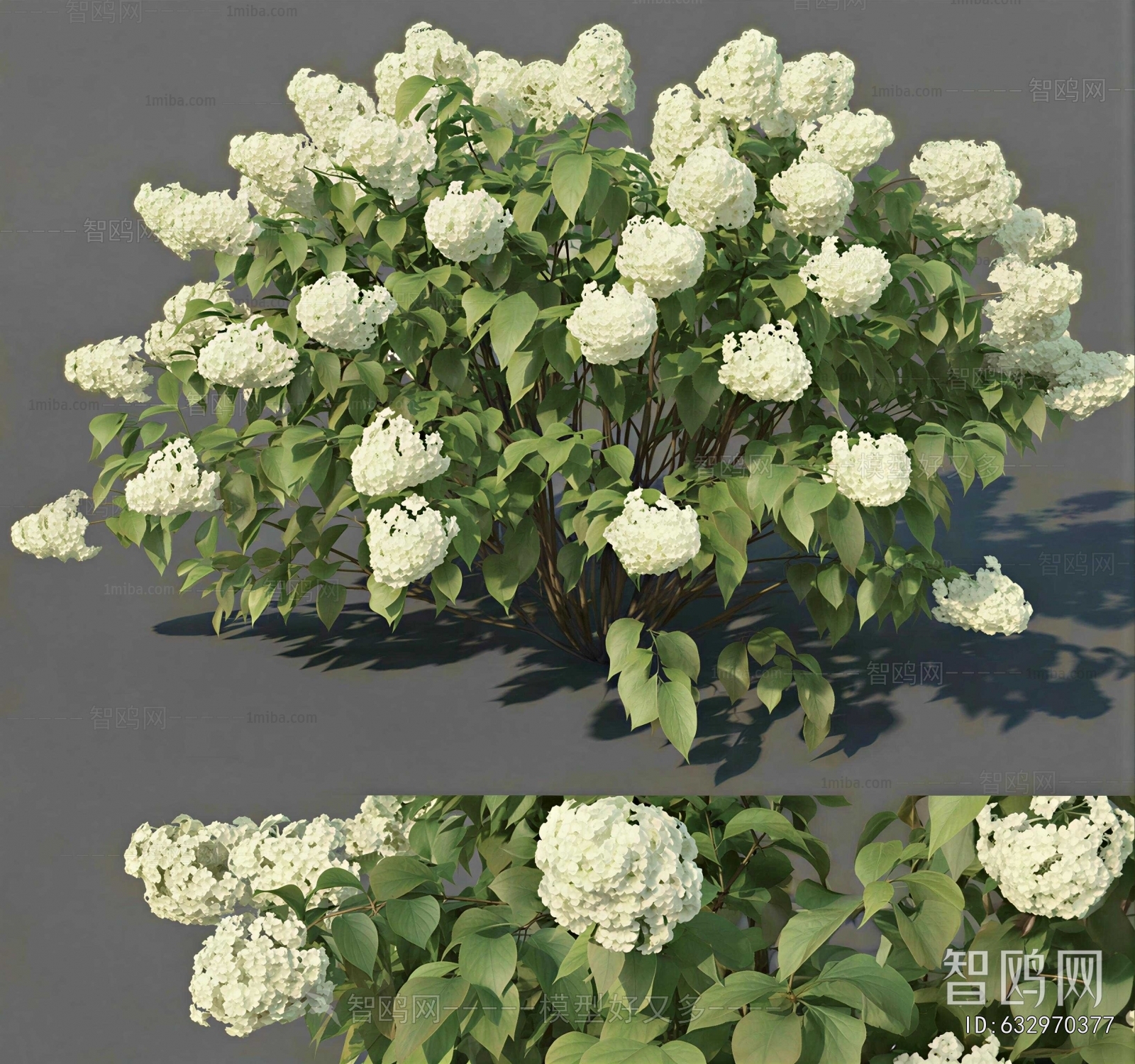 Modern Shrubbery