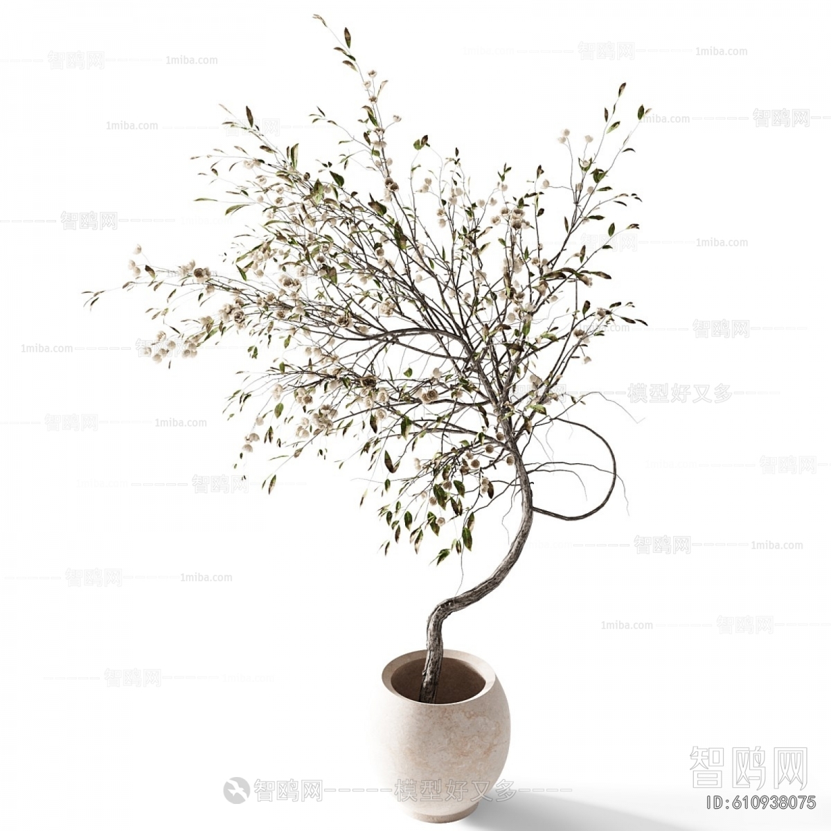 Modern Ground Green Plant Potted Plants