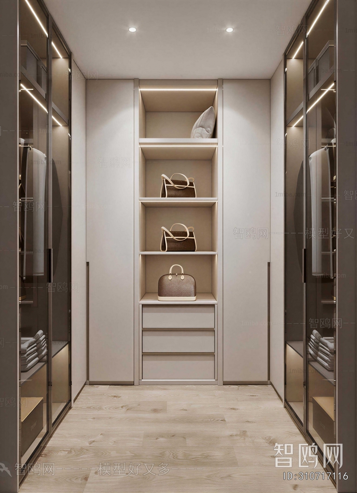 Modern Clothes Storage Area