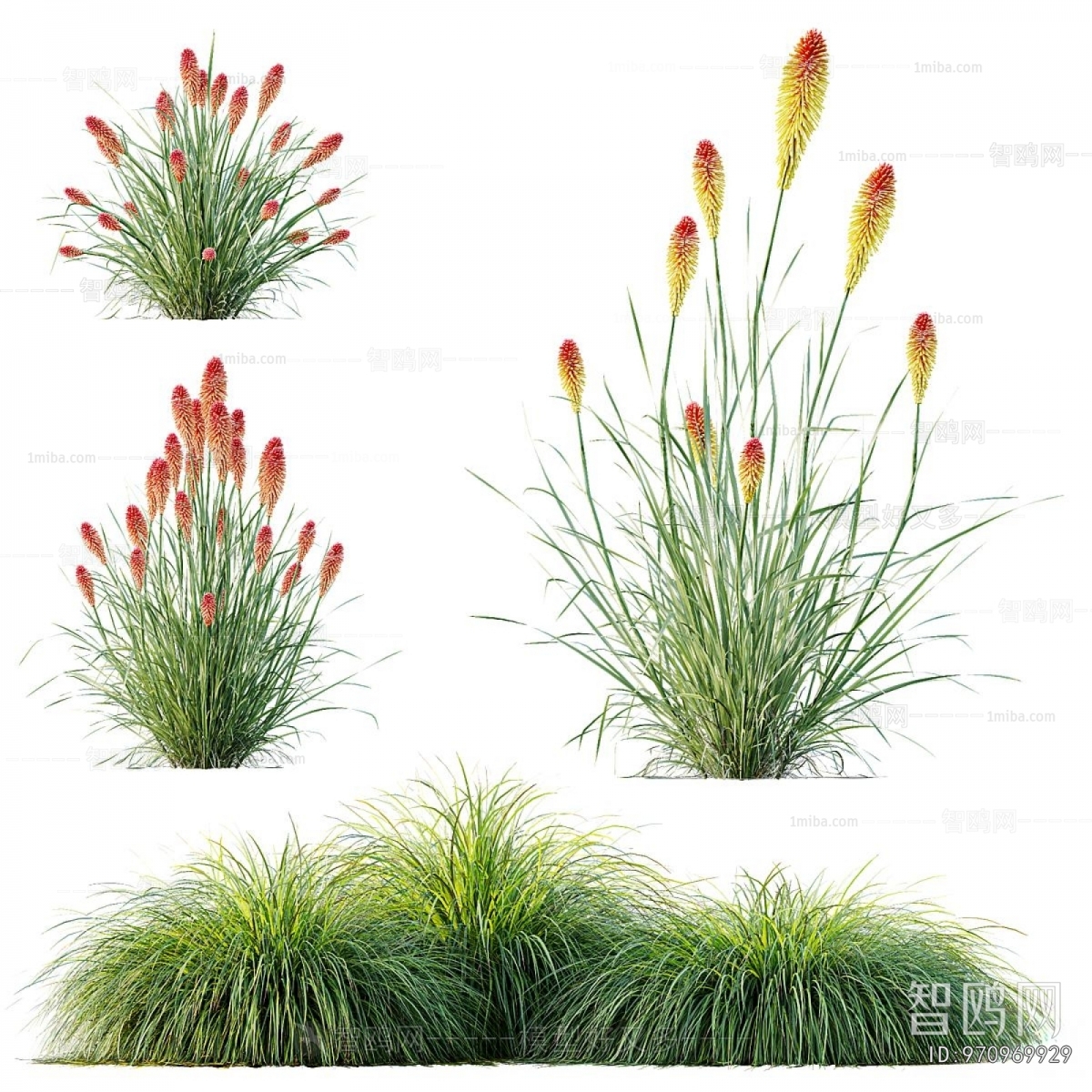 Modern Flowers And Grass
