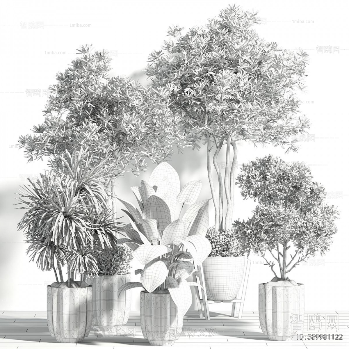 Modern Ground Green Plant Potted Plants