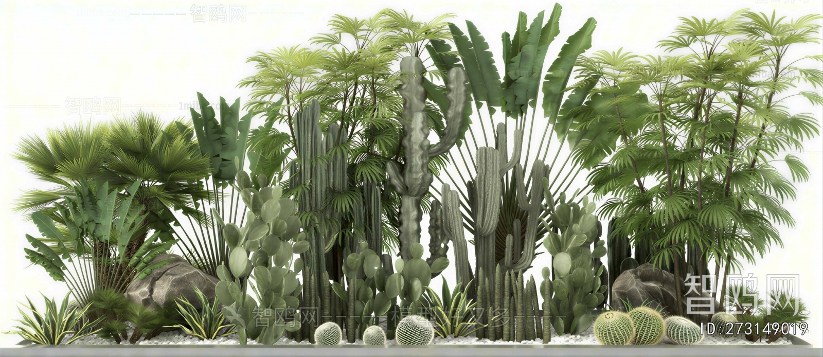 Modern Plant Landscaping