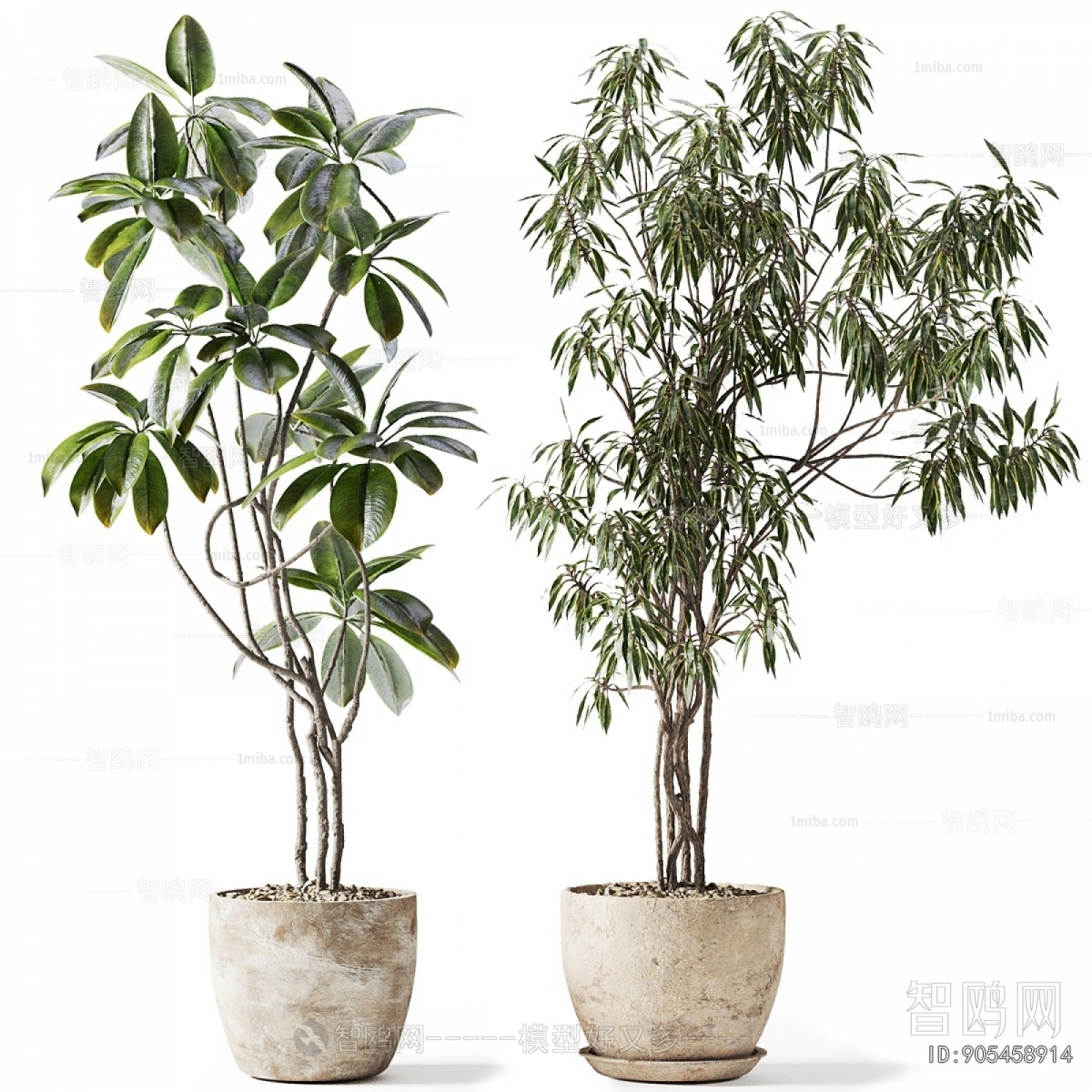 Modern Ground Green Plant Potted Plants