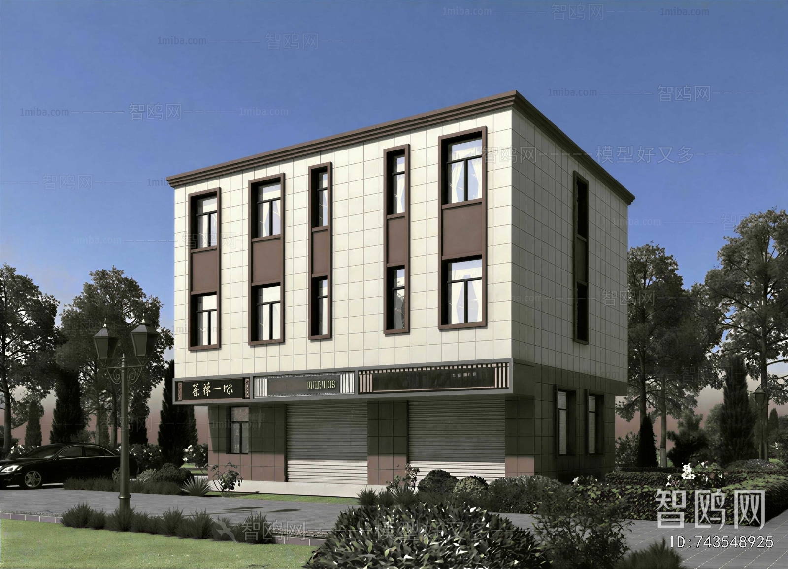 Modern Villa Appearance