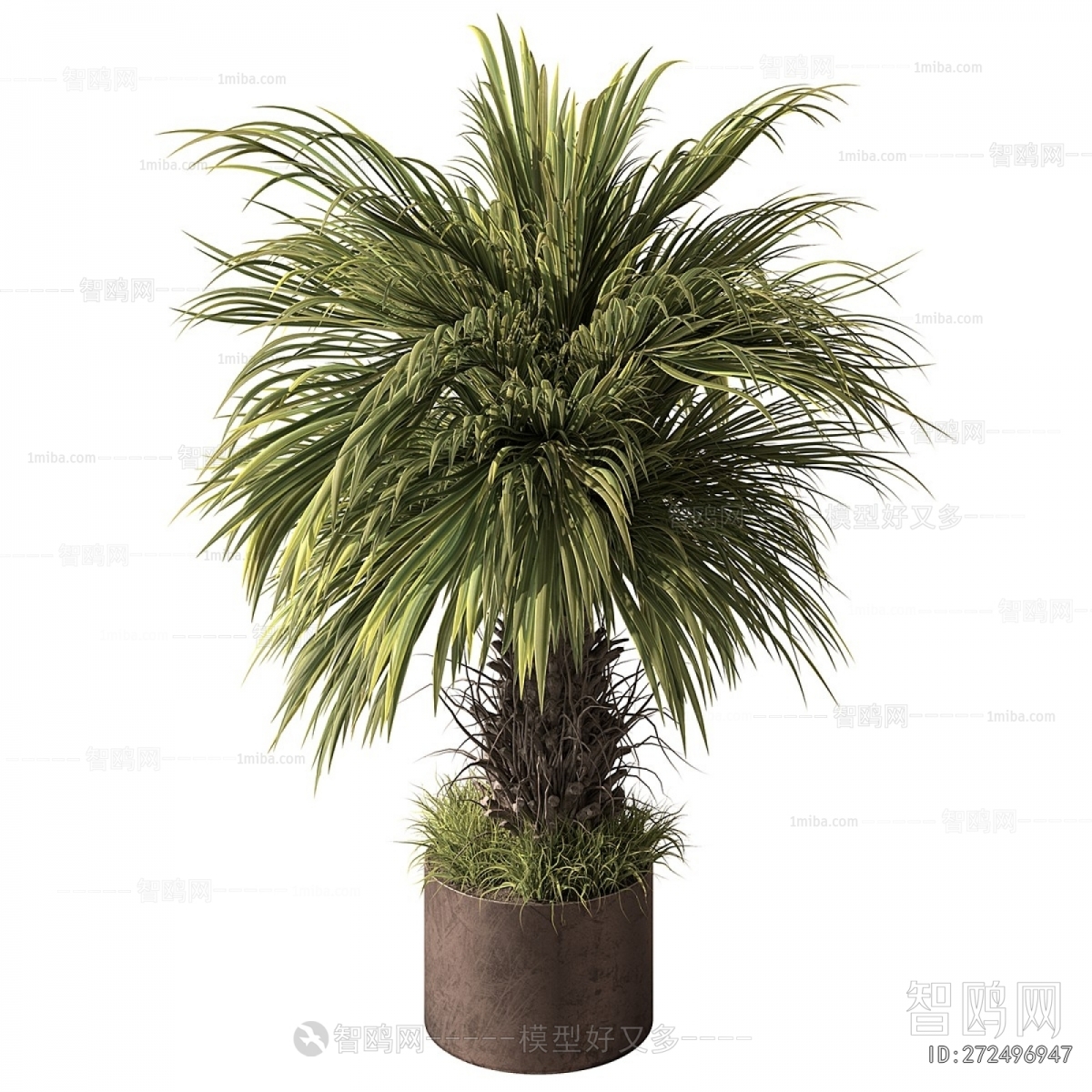 Modern Ground Green Plant Potted Plants