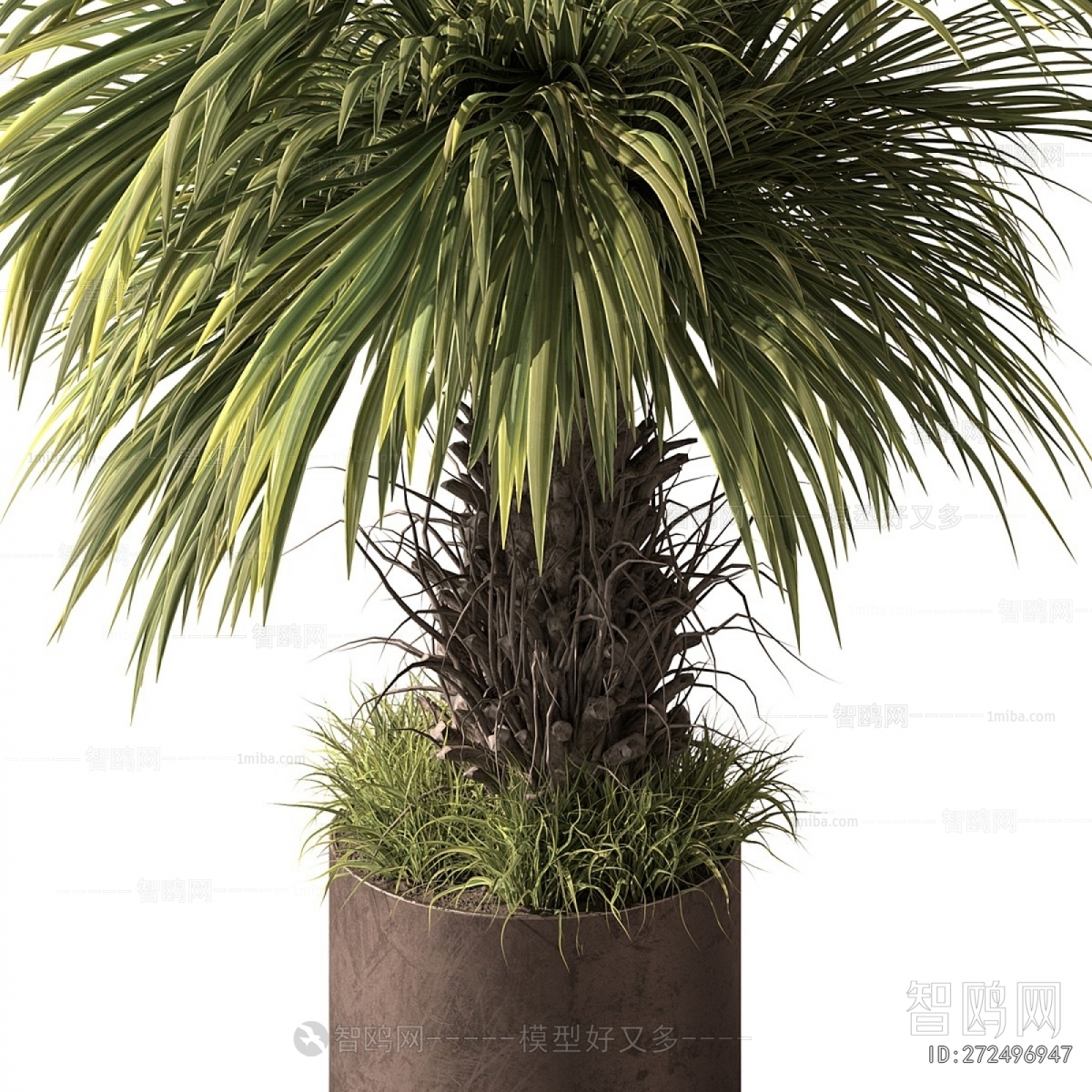 Modern Ground Green Plant Potted Plants