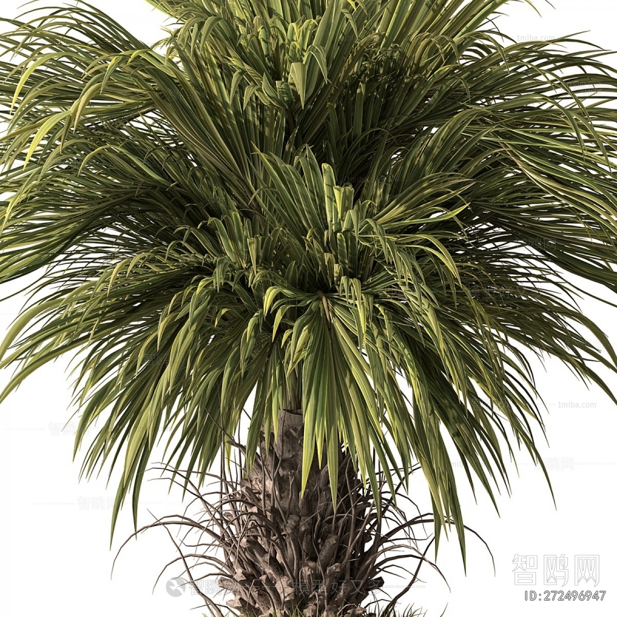 Modern Ground Green Plant Potted Plants