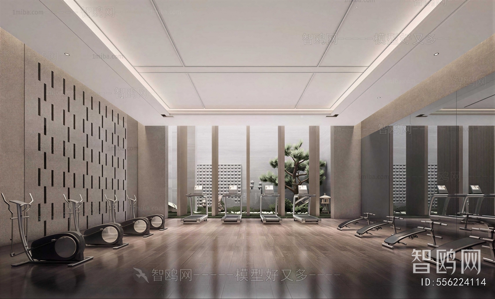 Modern Gym