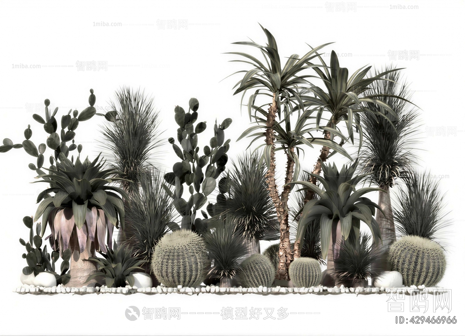 Modern Plant Landscaping