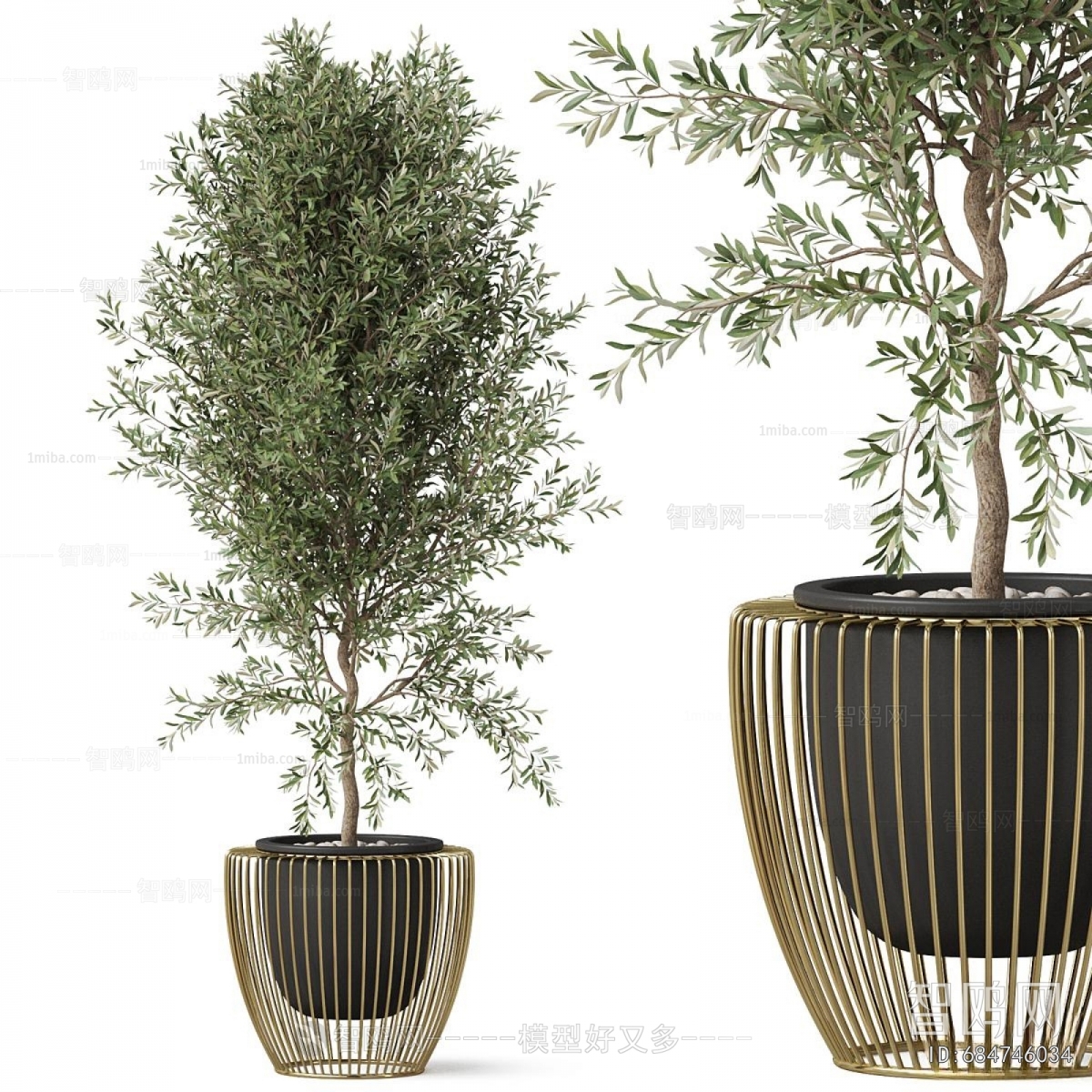 Modern Ground Green Plant Potted Plants