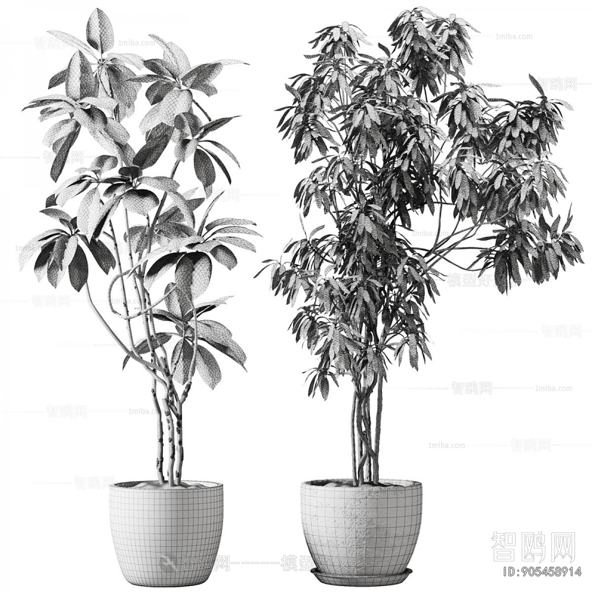 Modern Ground Green Plant Potted Plants