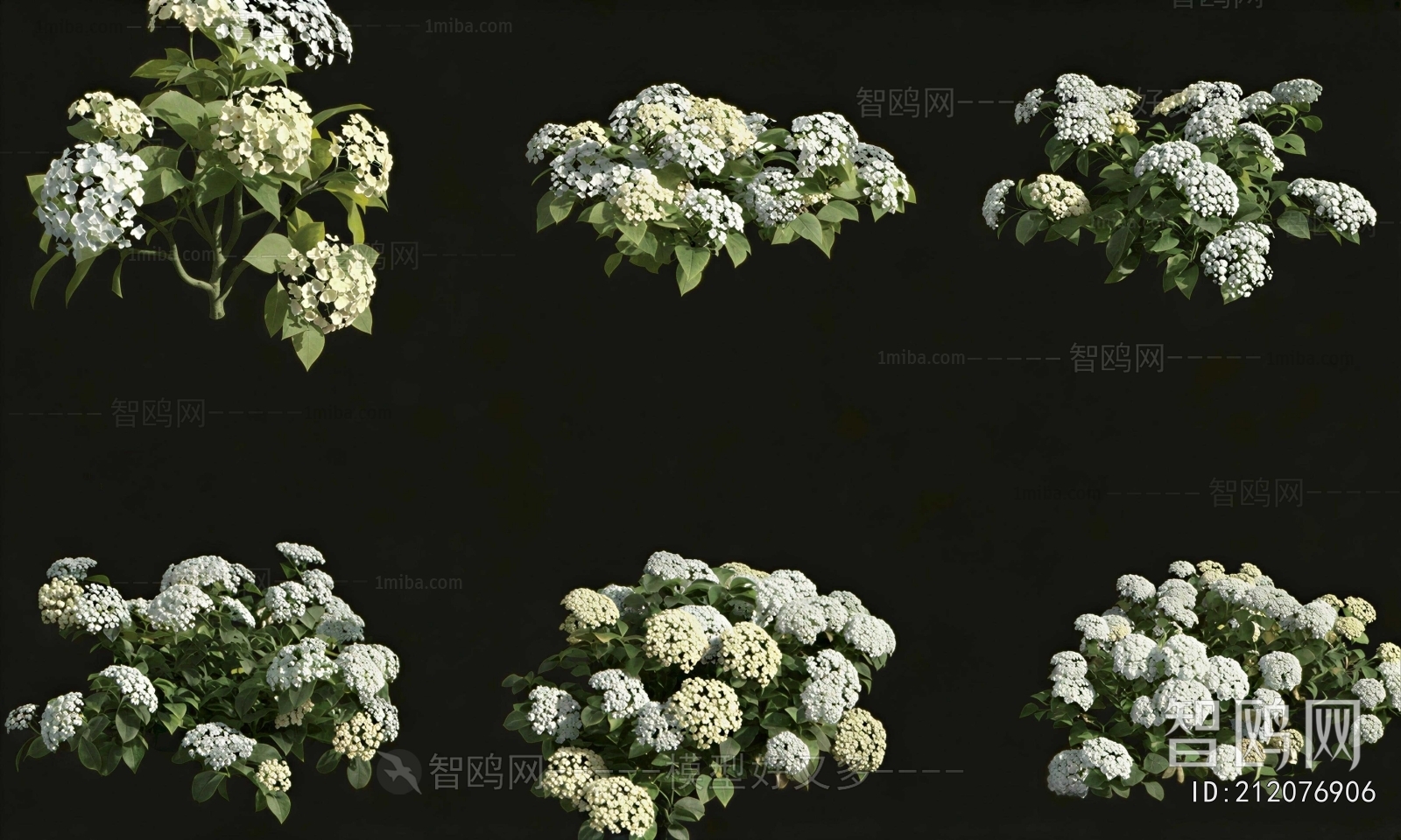 Modern Shrubbery