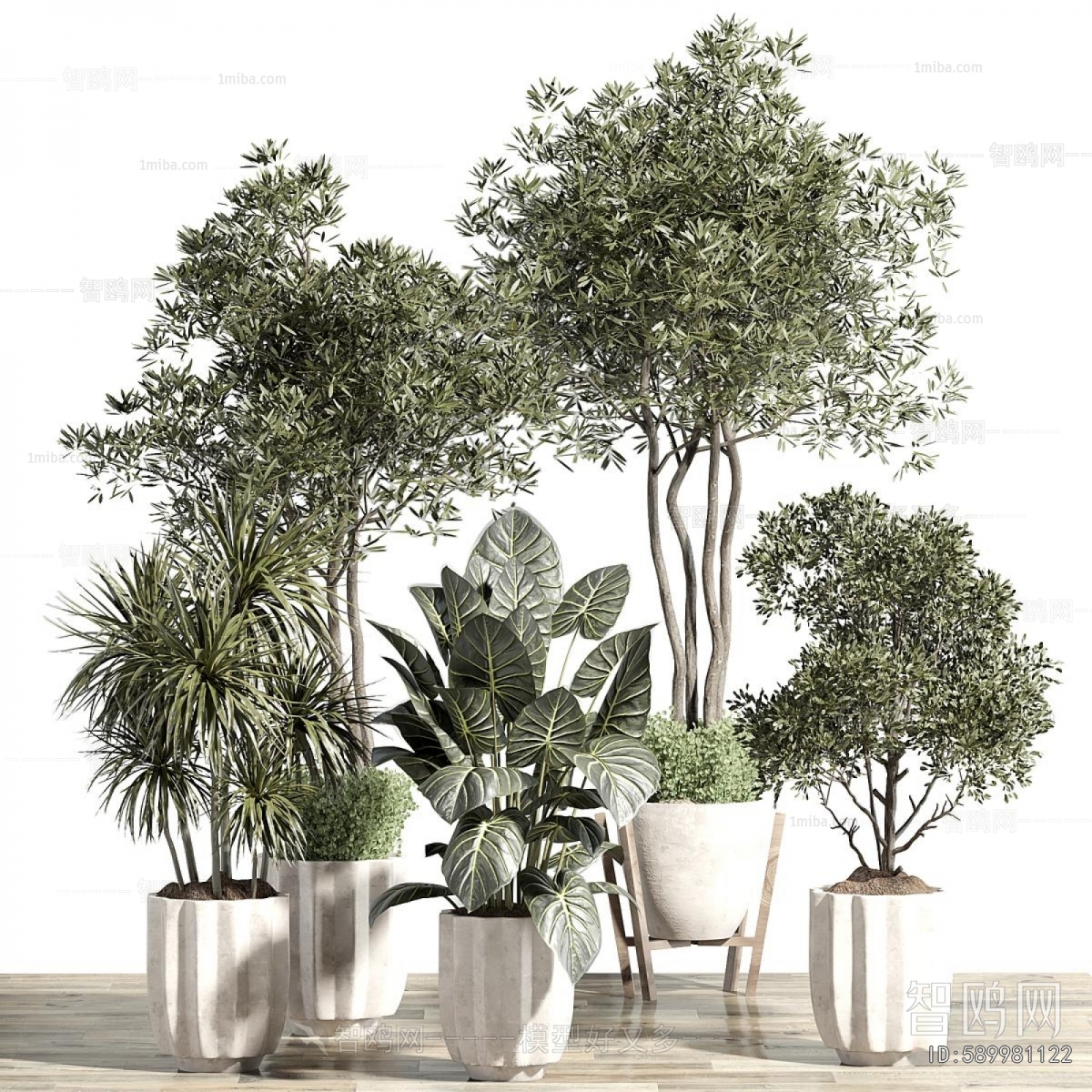 Modern Ground Green Plant Potted Plants