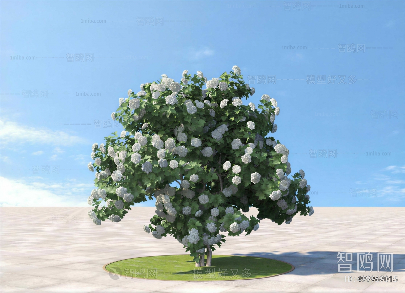 Modern Shrubbery