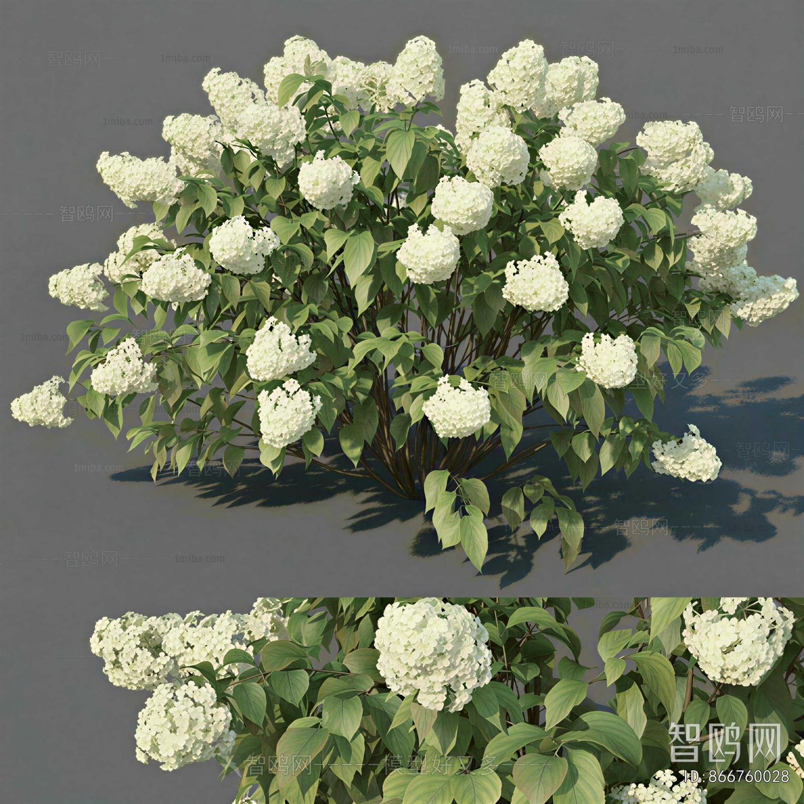 Modern Shrubbery