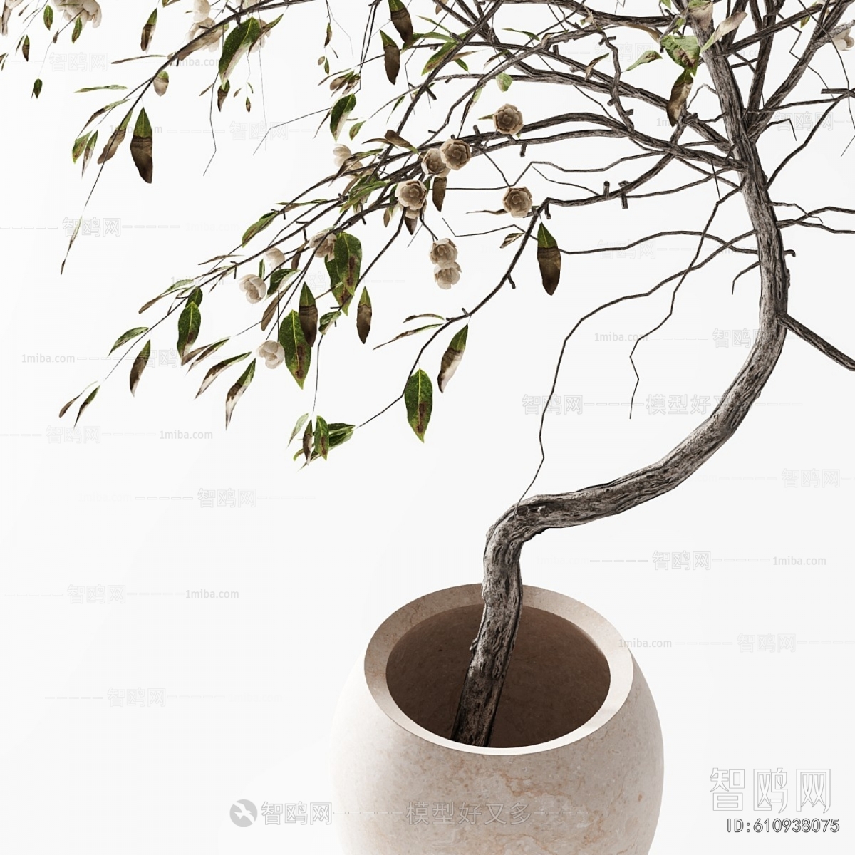 Modern Ground Green Plant Potted Plants