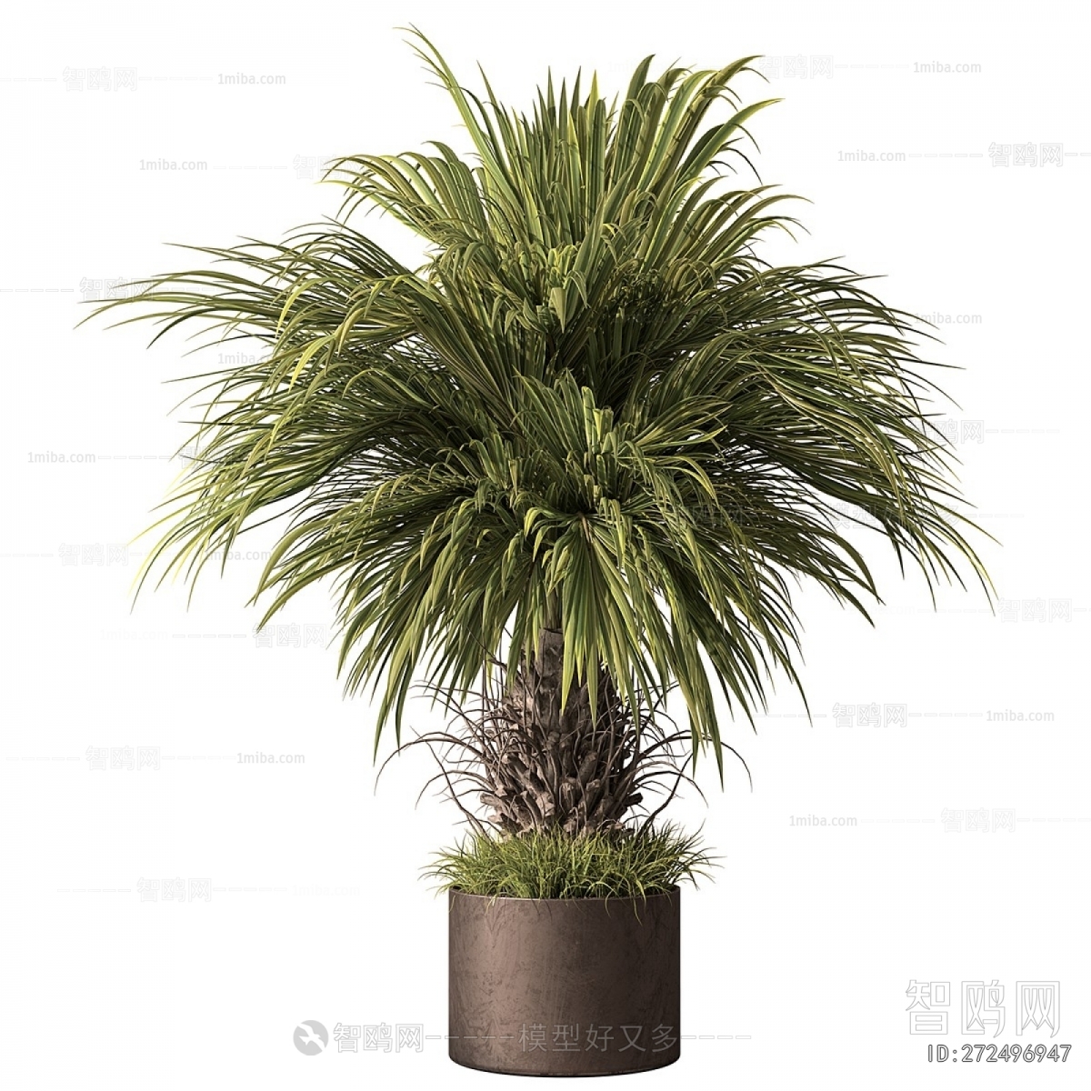 Modern Ground Green Plant Potted Plants