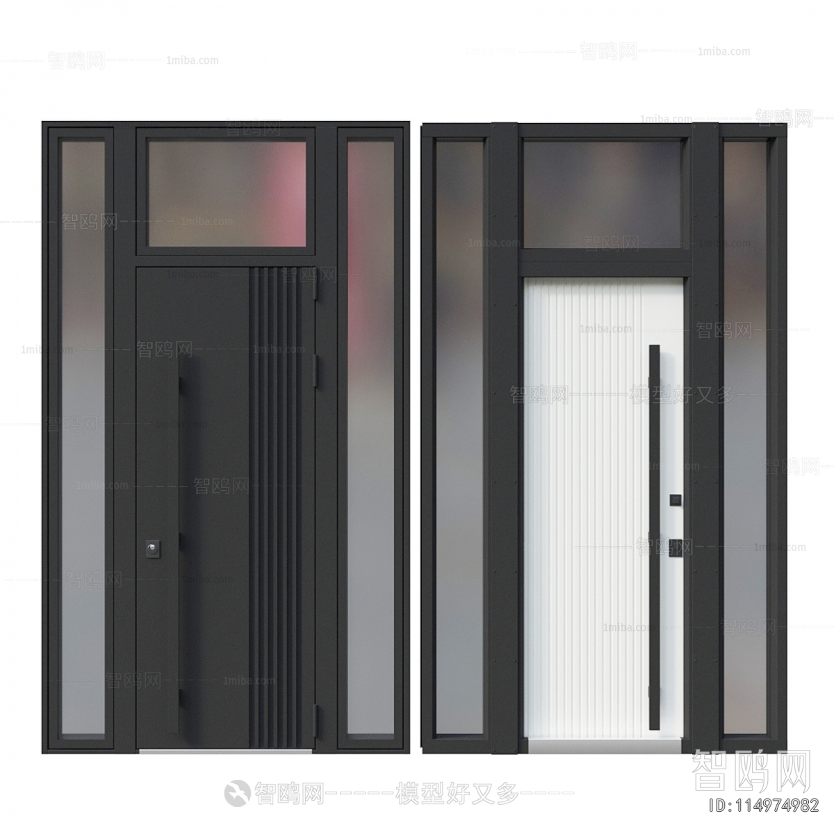 Modern Entrance Door
