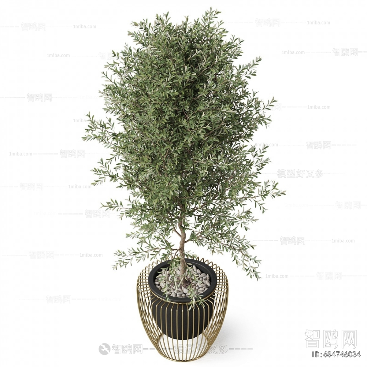Modern Ground Green Plant Potted Plants