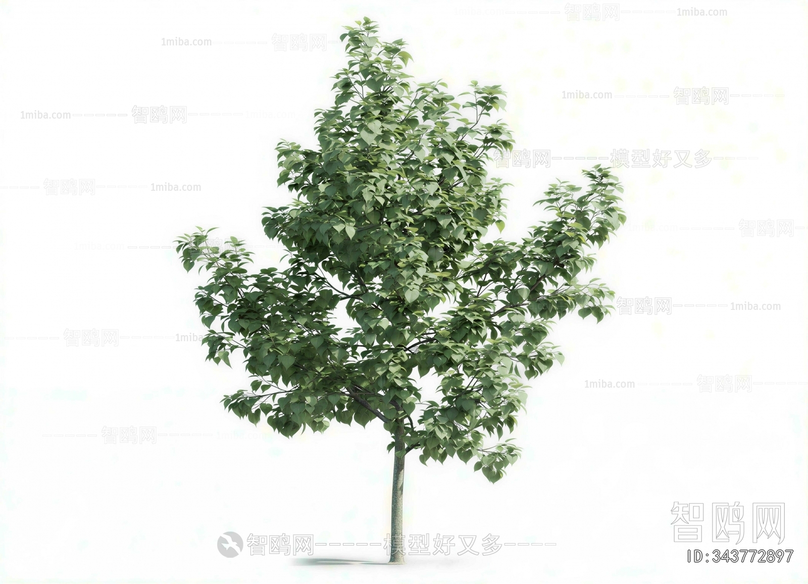 Modern Tree