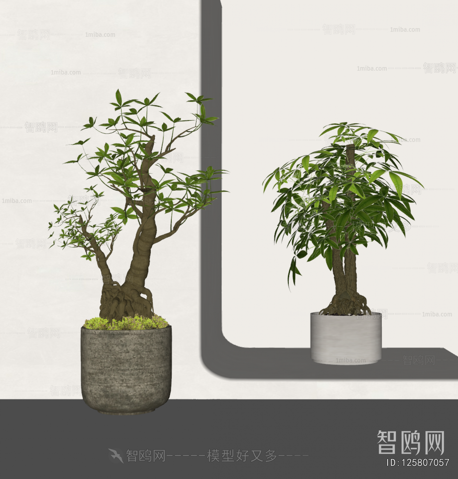 Modern Ground Green Plant Potted Plants