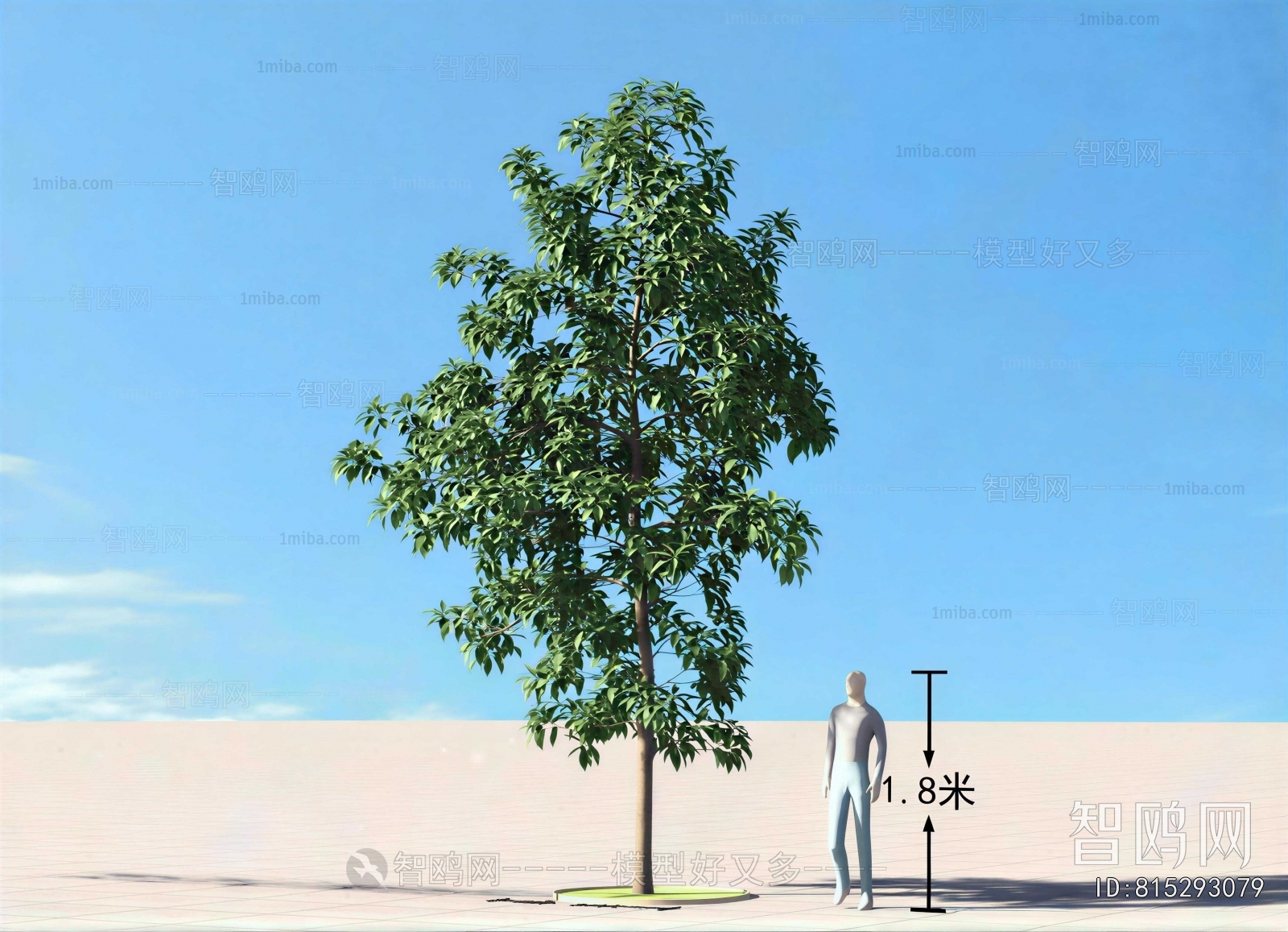 Modern Tree