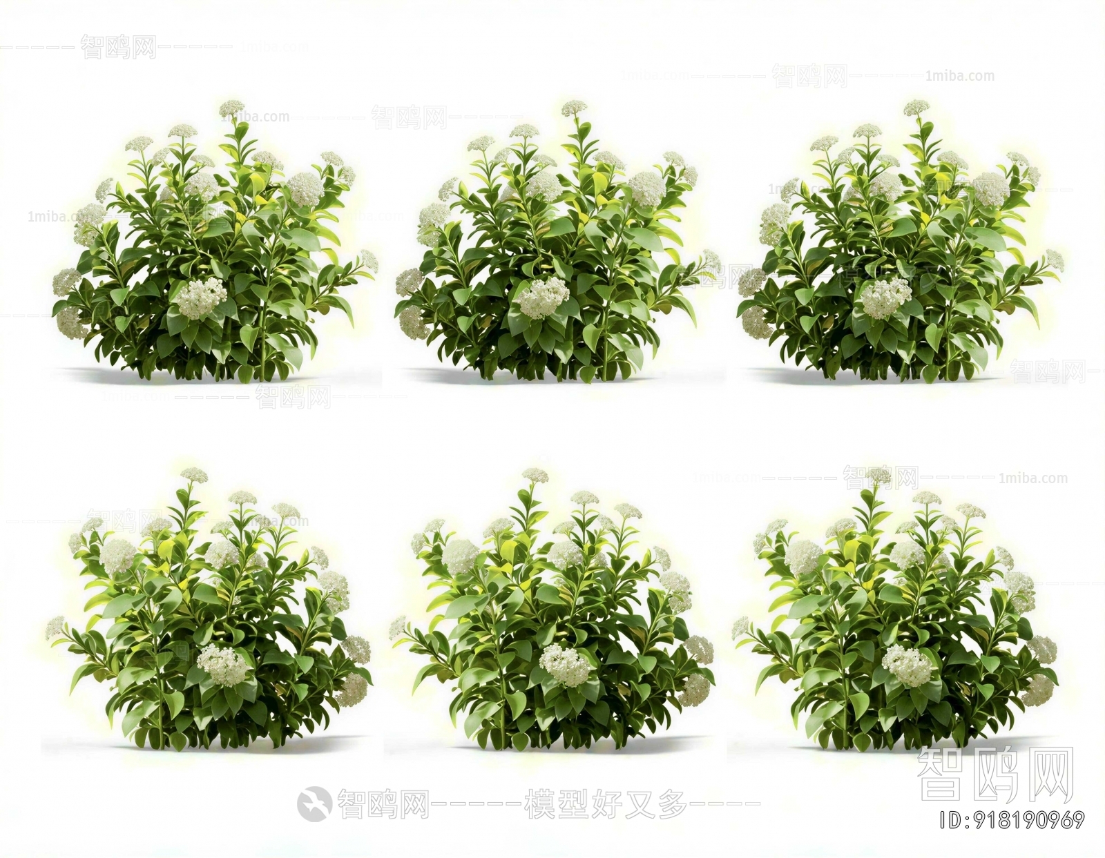 Modern Shrubbery