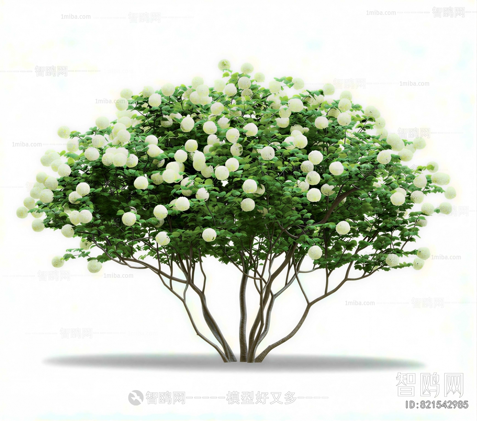 Modern Shrubbery